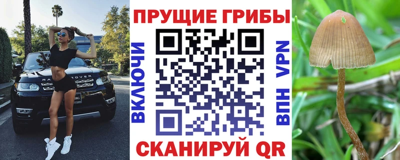 Псилоцибиновые грибы Magic Shrooms  даркнет сайт  Чулым 
